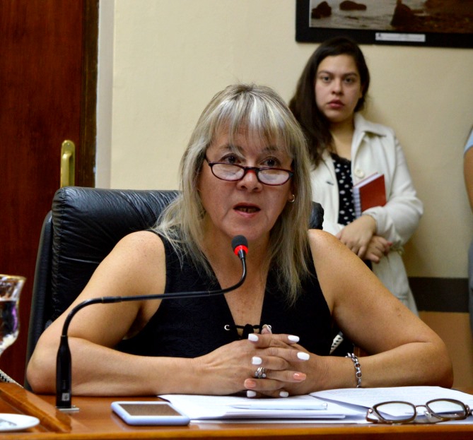 Crearon el programa de Limpieza Cooperativa en la capital del Chubut