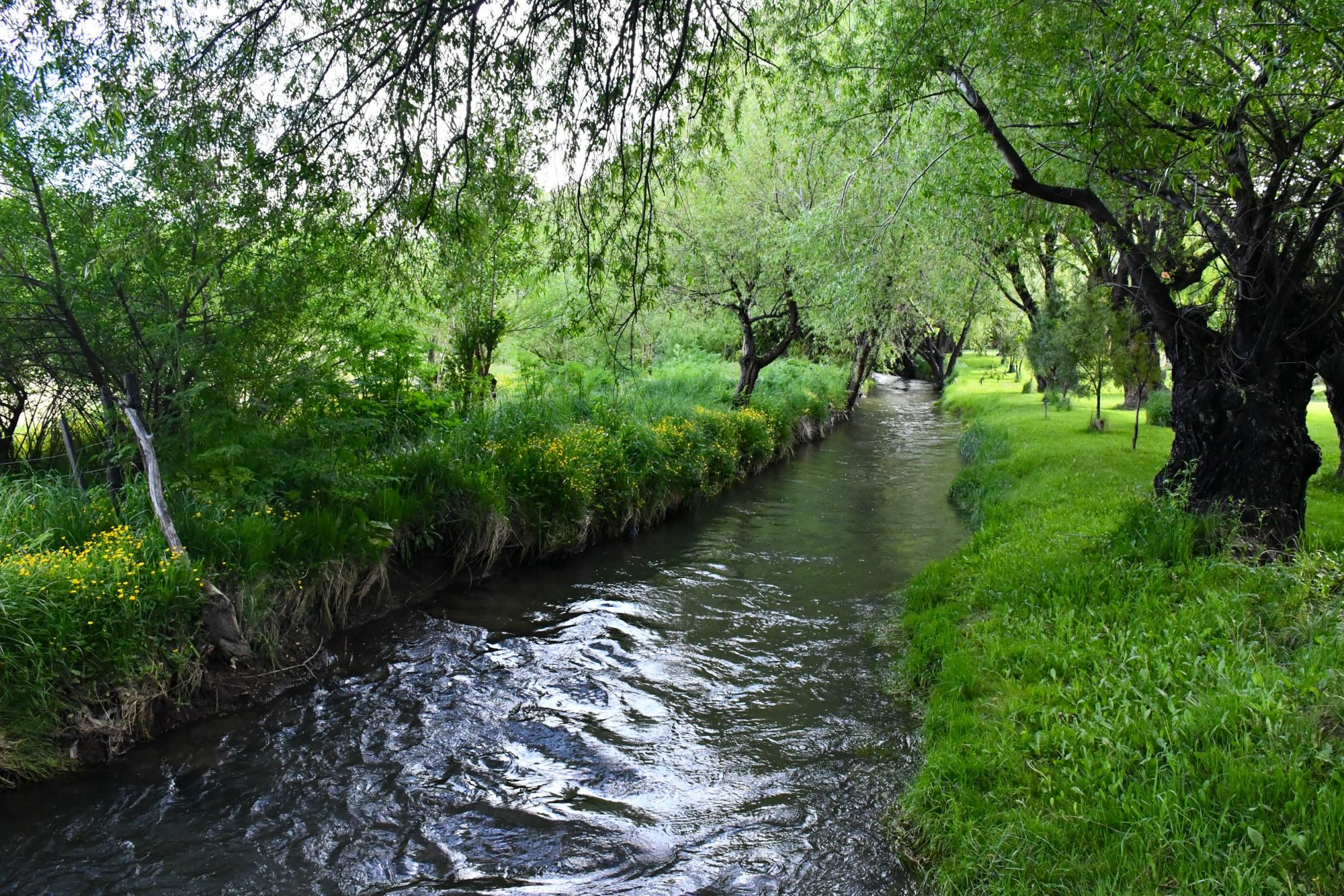 Avances en la limpieza del Arroyo Esquel y proyectos en la ciudad