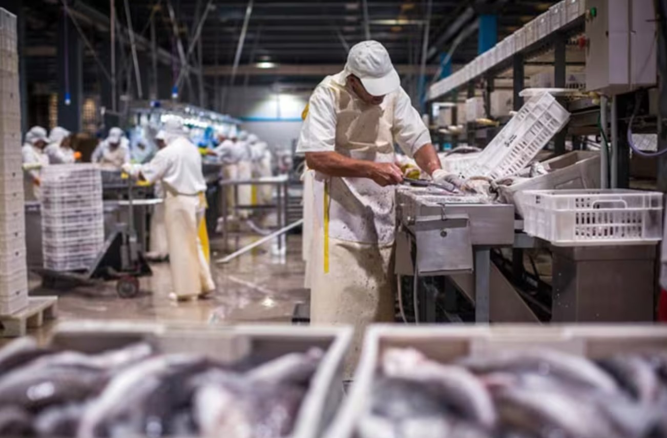 Preocupación extrema en la pesca por los nuevos aranceles de Estados Unidos: “Podrían configurar el golpe final para un sector que ya está al borde del colapso”