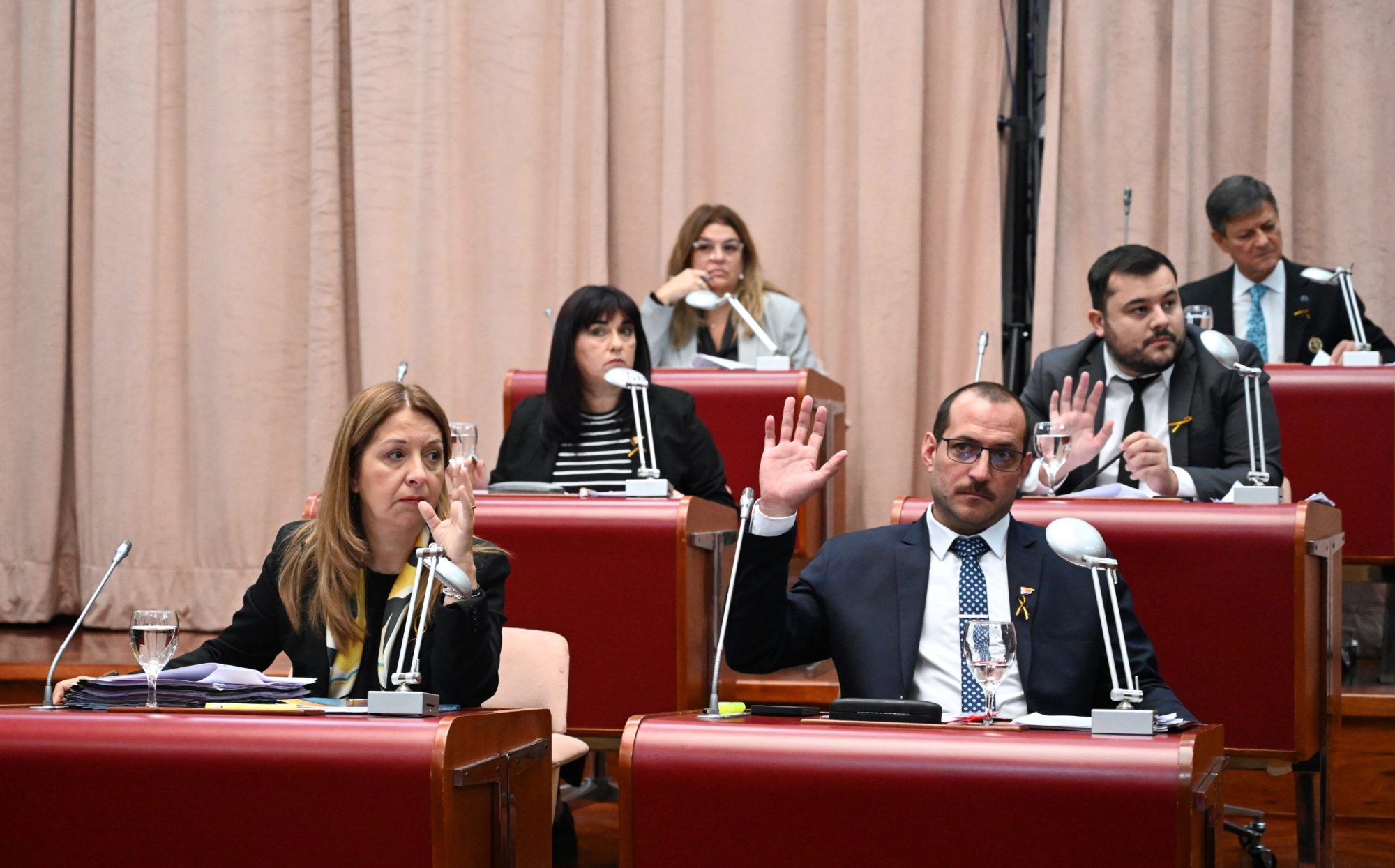 Hollmann sobre la ley de Bosques Nativos: “Viene a llenar un vacío legal que incentivaba la venta de tierras de manera irregular, generando especulación inmobiliaria”