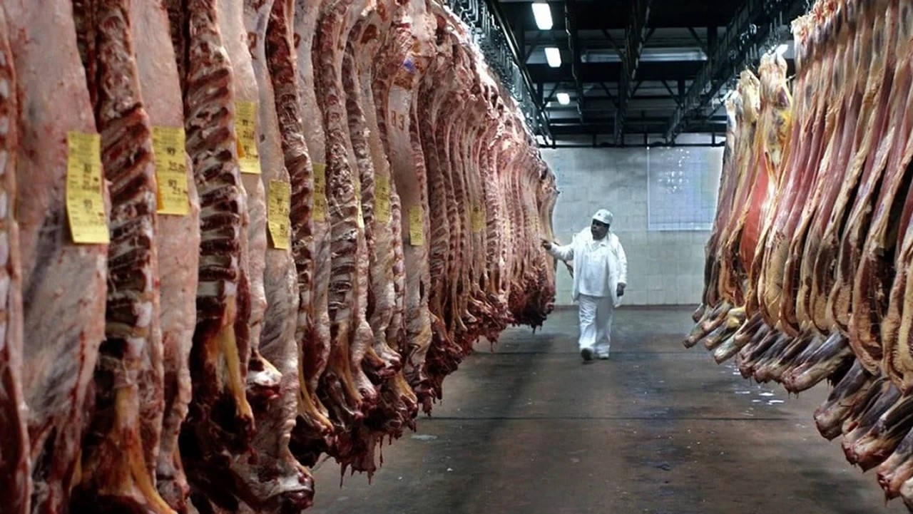 Se termina el plazo que prohíbe el ingreso de carne con hueso: “Estamos en tiempo de descuento y se pueden complicar las exportaciones desde la Patagonia”