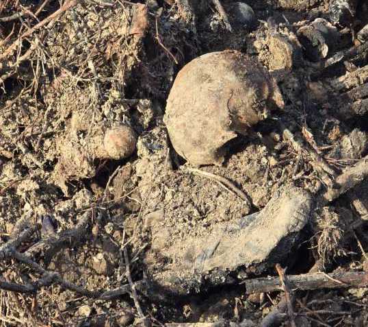 Fiscalía investiga a quién pertenecen los restos humanos encontrados en Epuyén