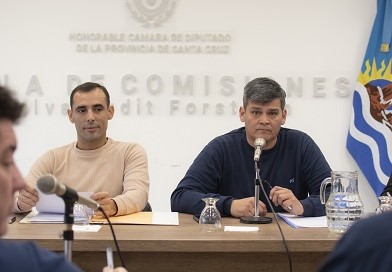 Santa Cruz: Avanza en Diputados el proyecto que busca renegociar contratos de obras