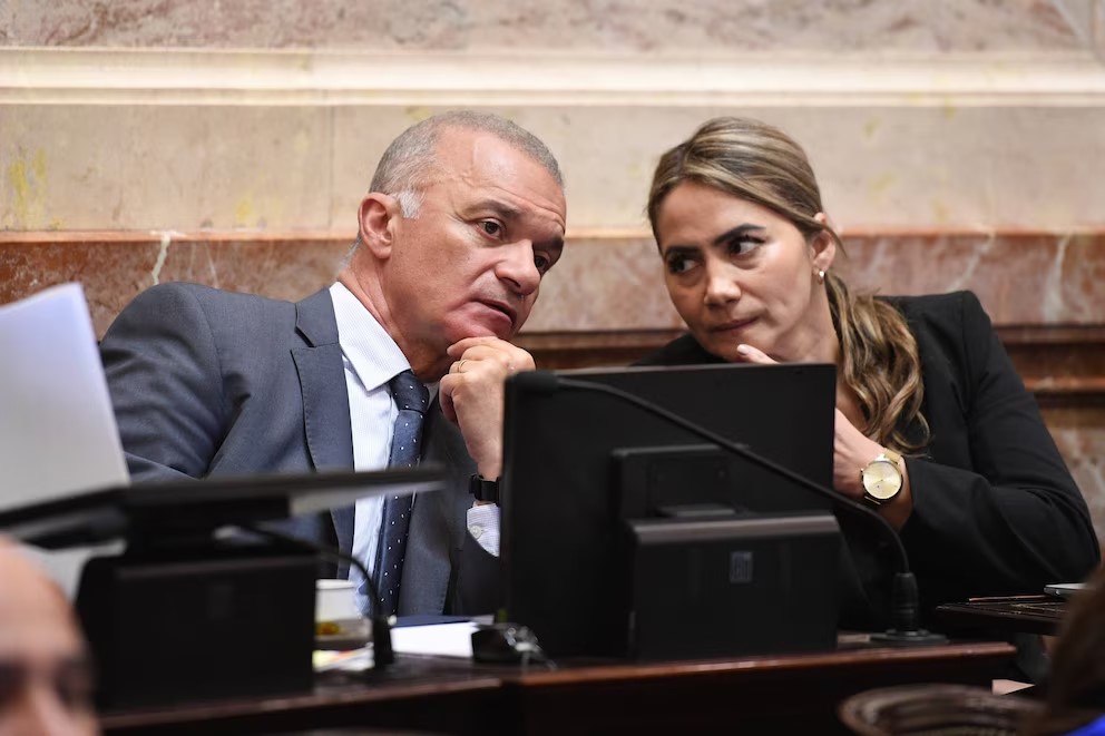 Quiénes son los dos senadores de Misiones que cambiaron de postura e hicieron caer Ficha Limpia
