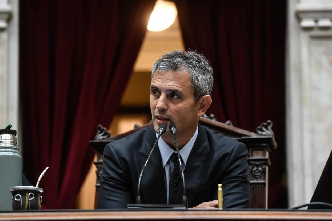 Martín Menem y el proyecto de Inocencia Fiscal: “No obtendremos la sanción antes de quince días”