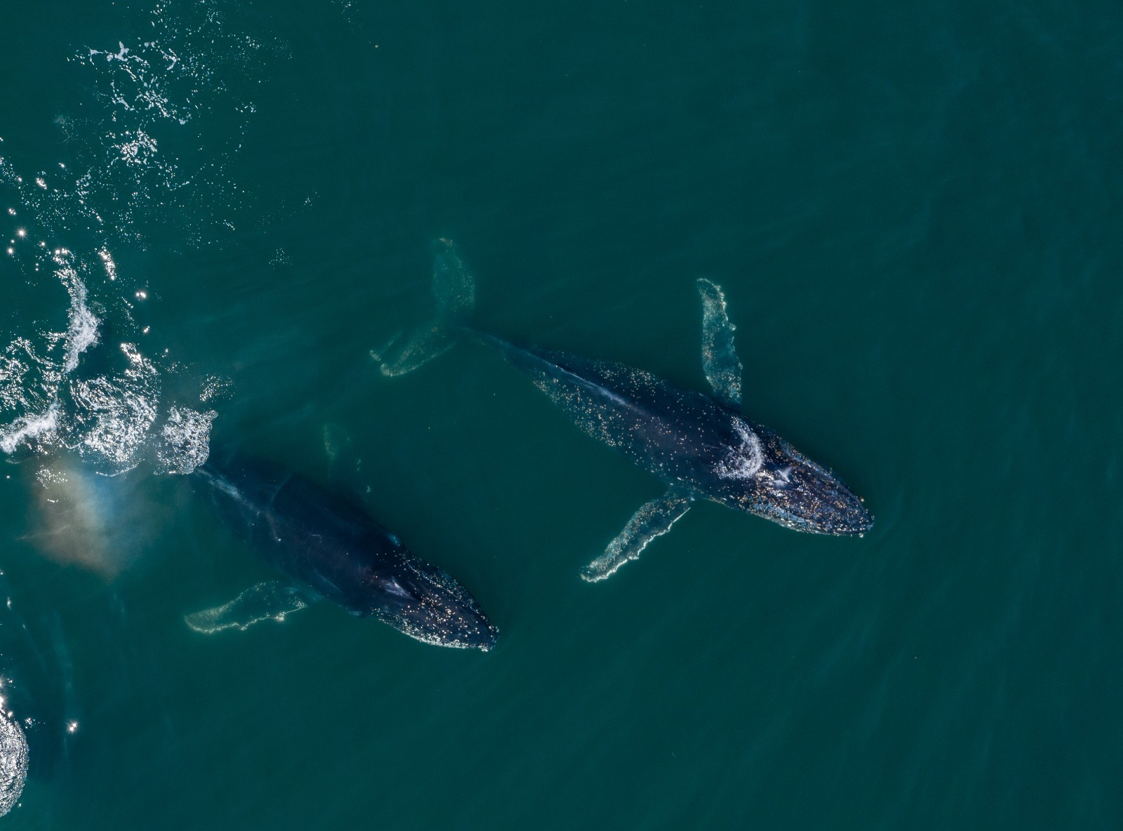 Chubut lanza una muestra itinerante sobre sus Monumentos Naturales