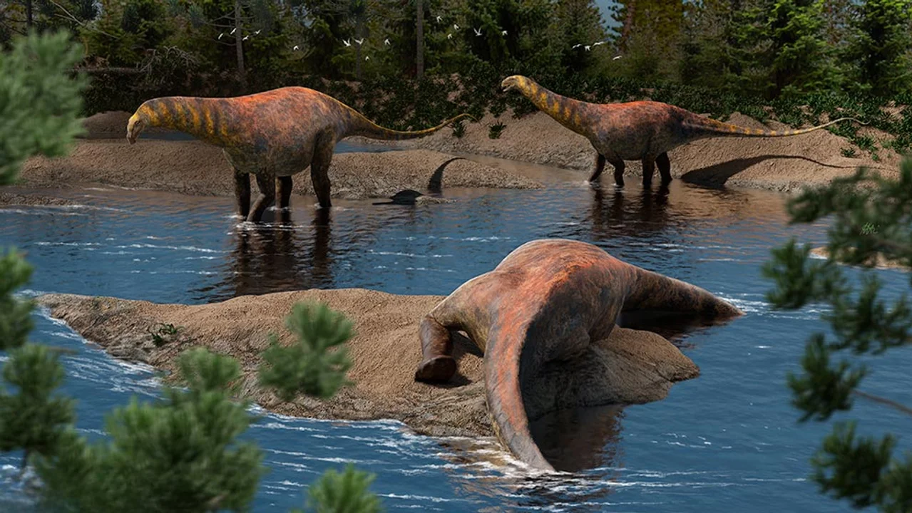 Descubren en Neuquén una nueva especie de dinosaurio que vivió hace 95 millones de años