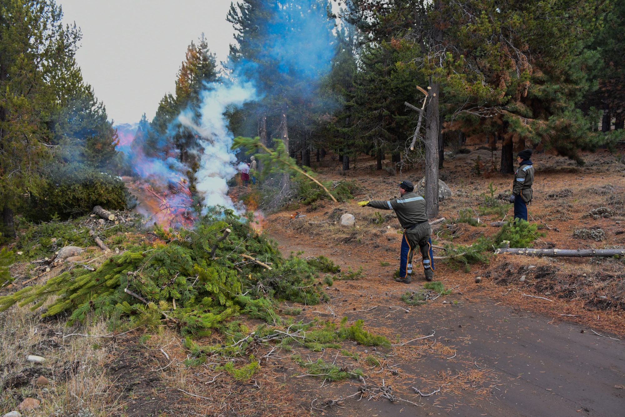 Esquel avanza con importantes trabajos de poda para la prevención de incendios