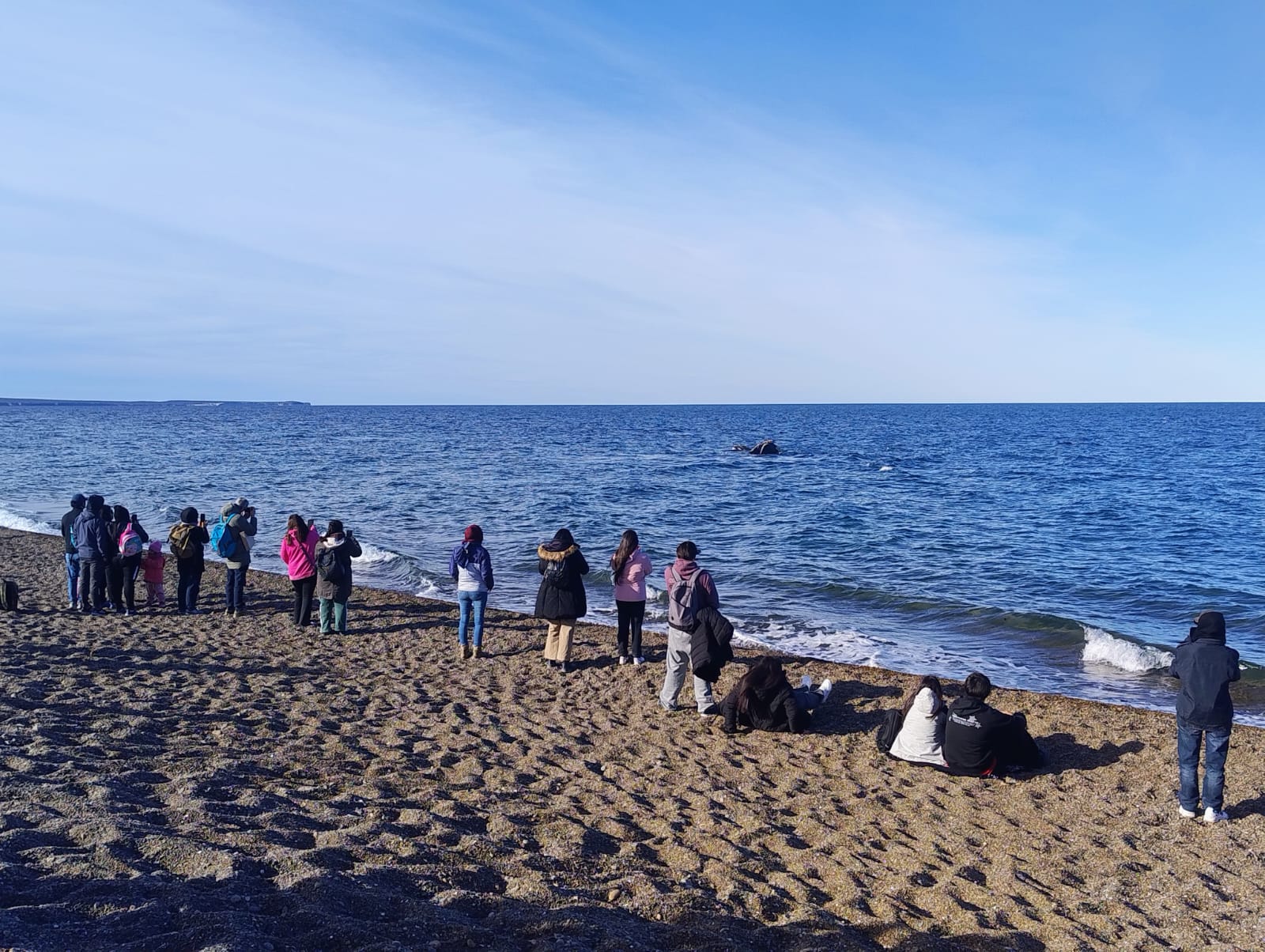 Vecinos de Madryn disfrutaron salidas gratuitas al Área Natural Protegida El Doradillo