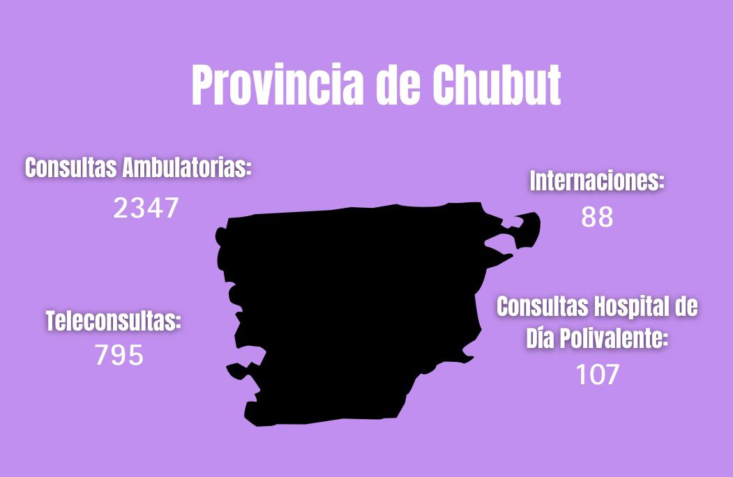Chubut fue la provincia de la Patagonia con más consultas ambulatorias en el Hospital Garrahan