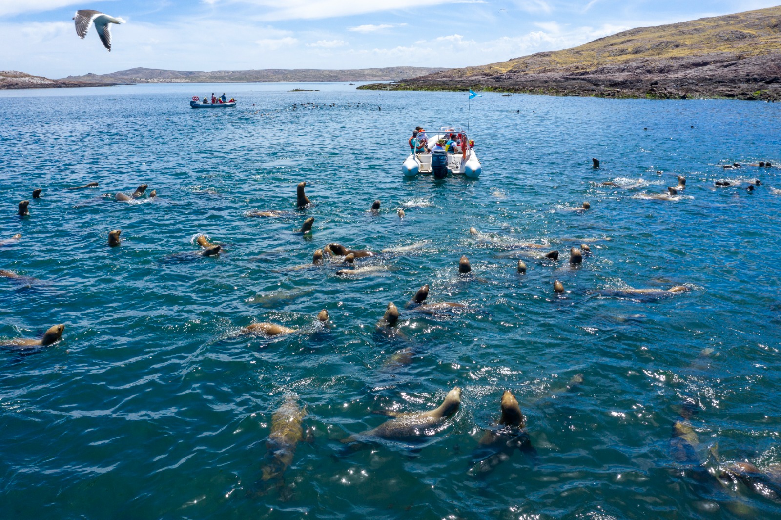 Chubut apuesta a su gente para impulsar el turismo en Camarones