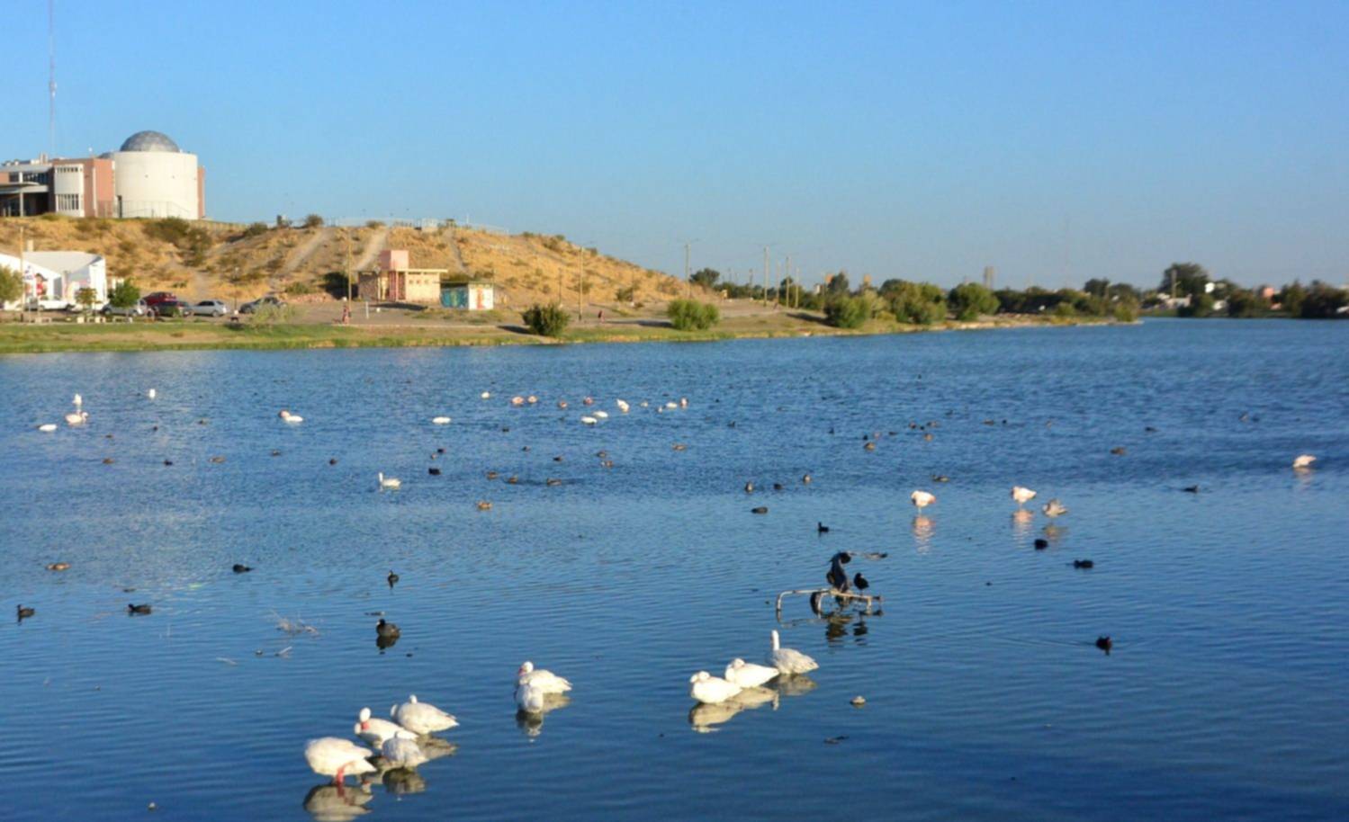 Provincia trabaja en la mejora del agua y ambiente de la Laguna Cacique Chiquichano de Trelew