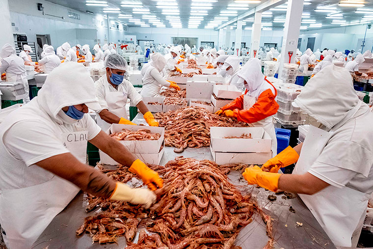 Un senador pidió eliminar definitivamente la retenciones a la pesca por los dólares y por los puestos de empleo que genera en Chubut, Buenos Aires, Río Negro y Santa Cruz