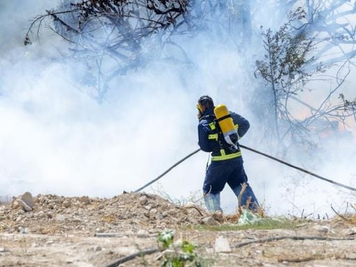 Incendio forestal en Los Ángeles dejó miles de evacuados y más de 2.000 hectáreas calcinadas