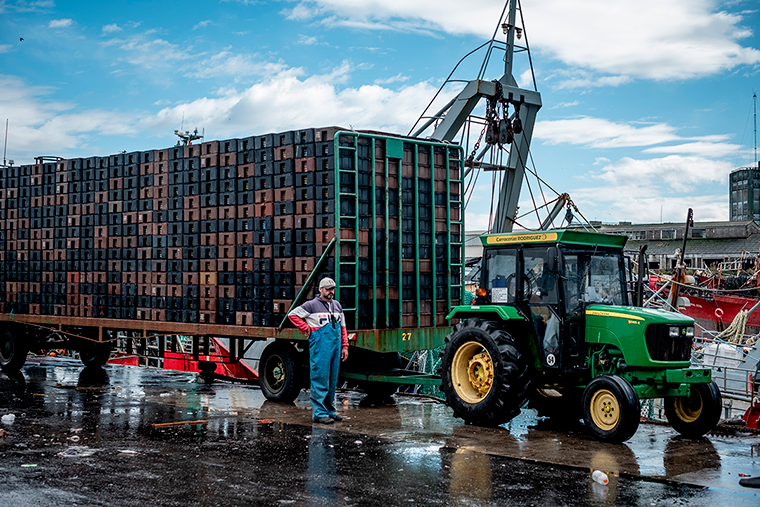 Cámaras pesqueras advirtieron que no es posible continuar incrementando aumentos en transporte y logística