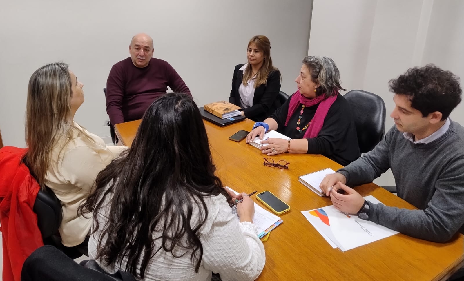 Chubut: Tullio abordó con especialistas en discapacidad diferentes estrategias para lograr la mayor accesibilidad a la hora de votar