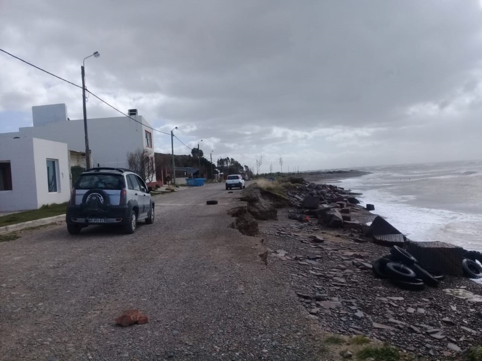 Llevaban flores de cannabis y los detectó una perra policía en Magagna