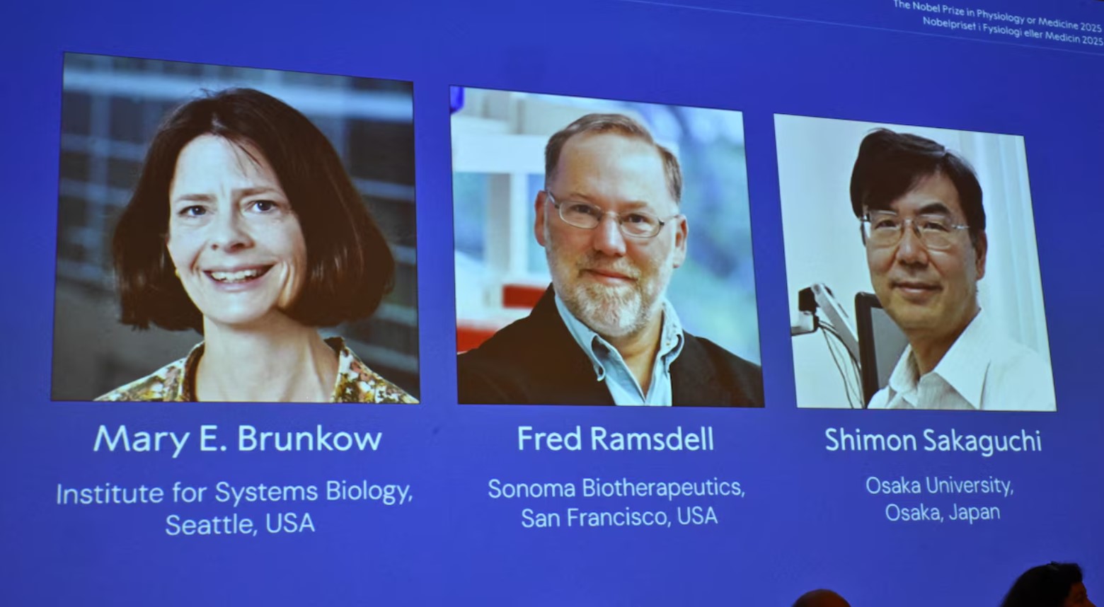 El premio Nobel de Medicina quedó en manos de tres especialistas por sus descubrimientos sobre la tolerancia inmunitaria periférica