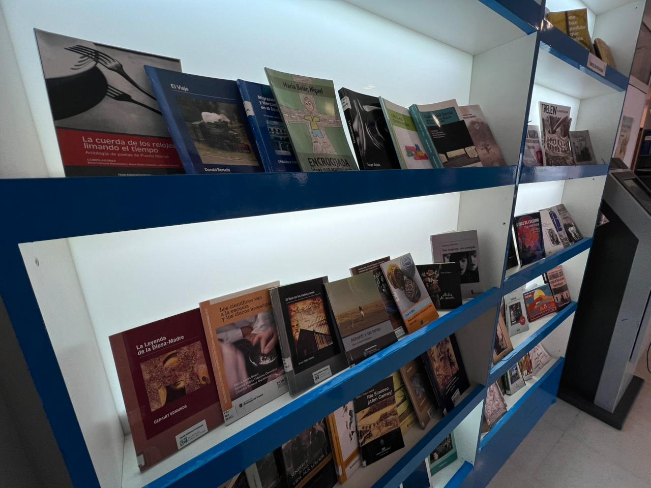 Chubut extendió el plazo de recepción de obras del Fondo Editorial Provincial