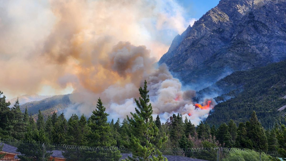 Después de tres días de intenso operativo, se contuvo el incendio forestal en El Pedregoso