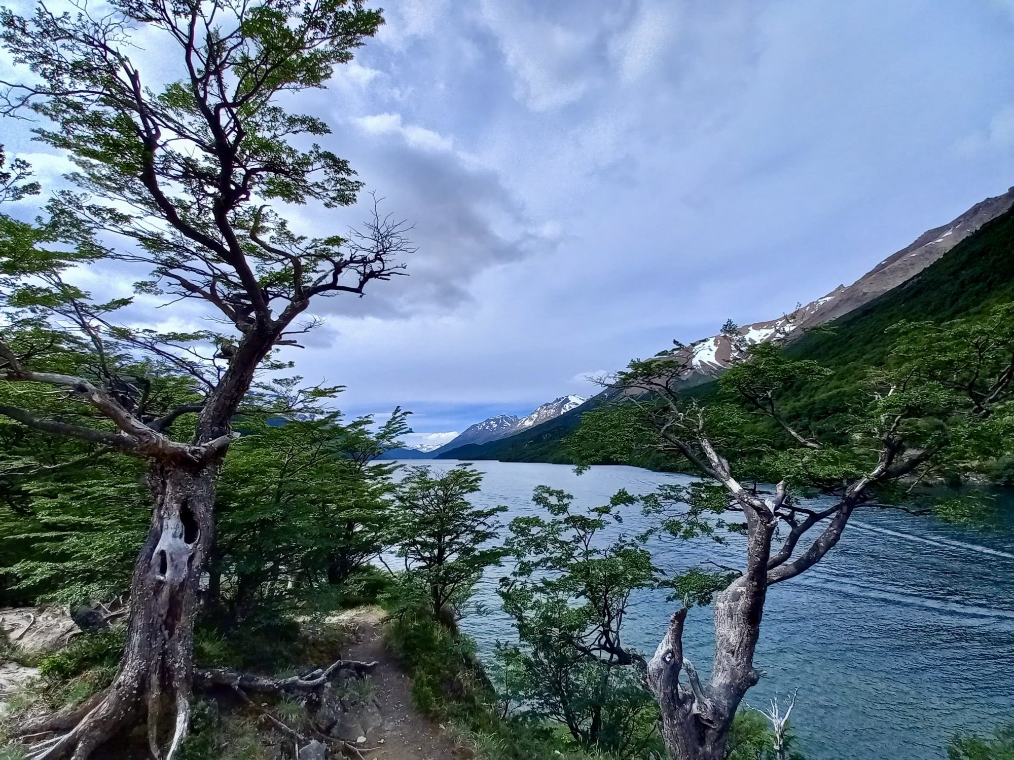 Santa Cruz refuerza su estrategia de Prevención de Incendios para proteger el bosque nativo