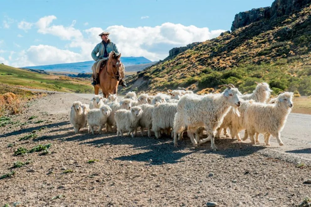 Figueroa dispuso un aporte de 100 millones de pesos para fortalecer a crianceros de Neuquén