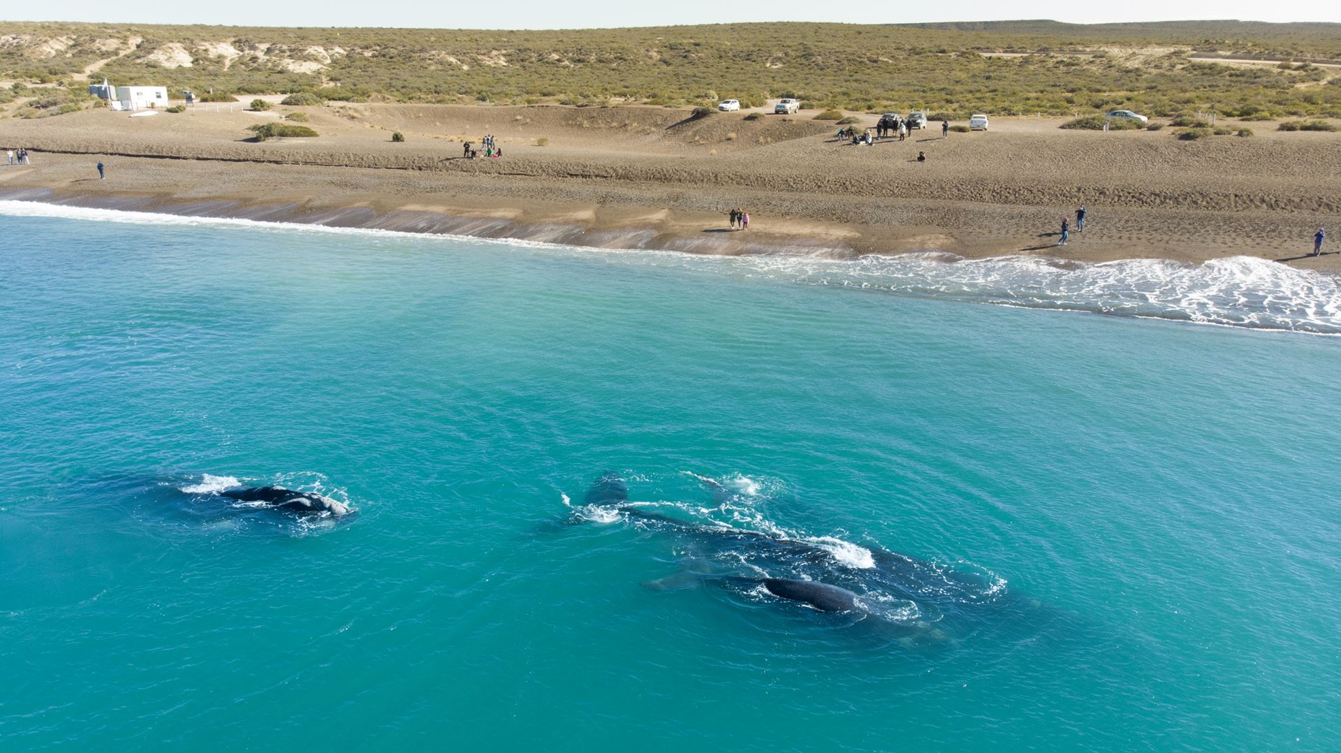 Según la IA, dos playas de Chubut están entre las mejores de la Argentina