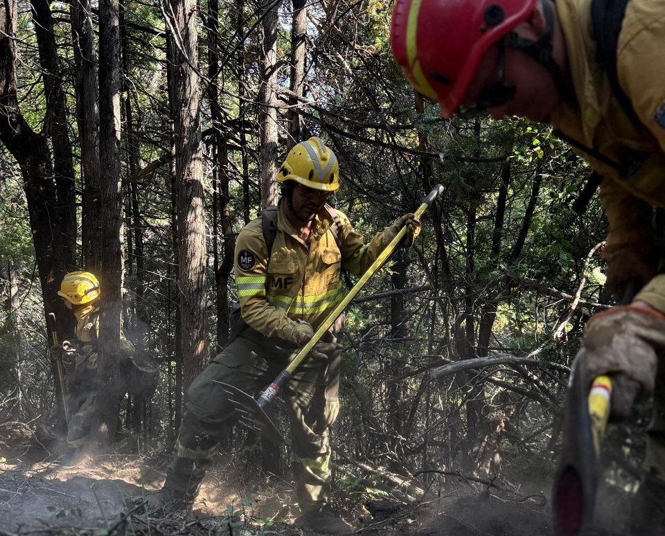Incendio en el Parque Nacional: Bomberos voluntarios de Chile se suman a los más de 500 brigadistas provinciales y nacionales