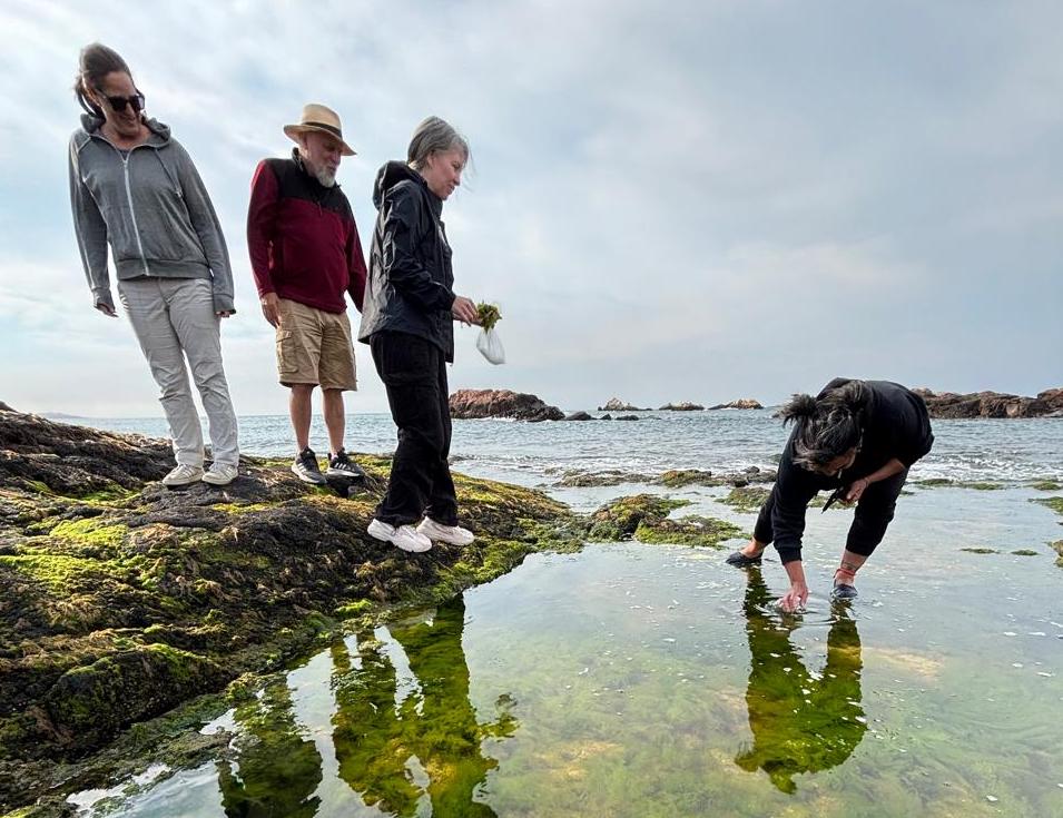 La propuesta turística de Chubut que combina una cosecha guiada en el mar con la cocina a domicilio de una chef local
