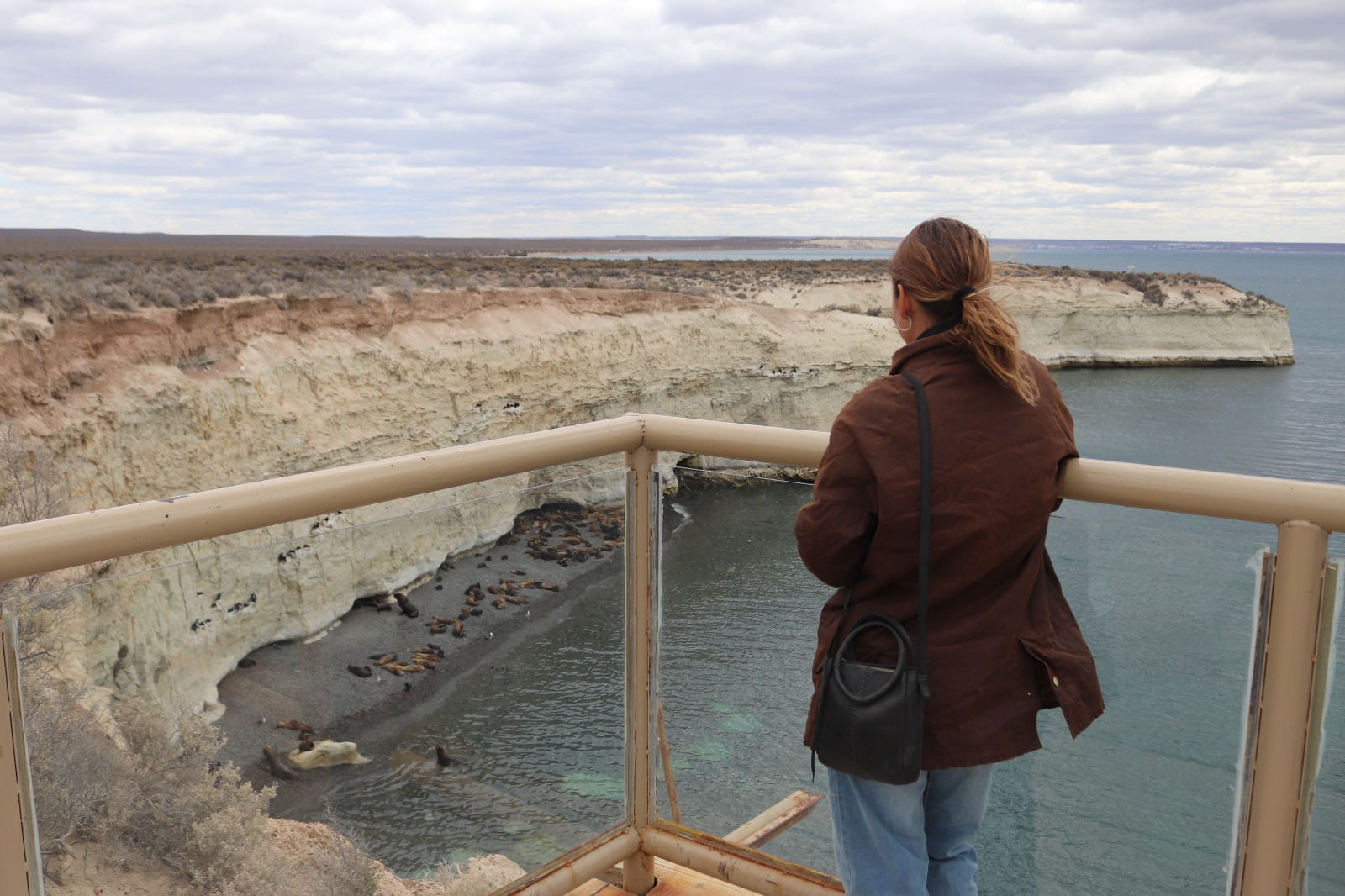 Lapenna sobre el Área Natural Protegida Punta Loma: “Se puso en funcionamiento el sistema de cobro de acceso, generando recursos que ya están dando resultados positivos”