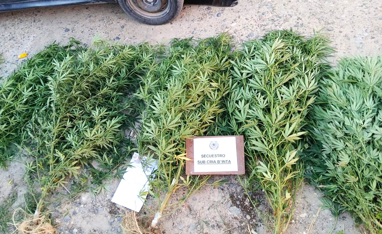 Trelew: Procedimiento policial permitió el secuestro de armas de fuego y estupefacientes