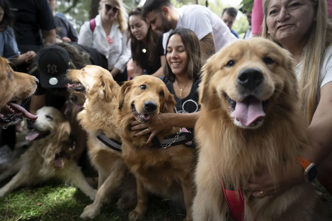 Ejemplar: Condenaron a un hombre por maltrato animal en Salta