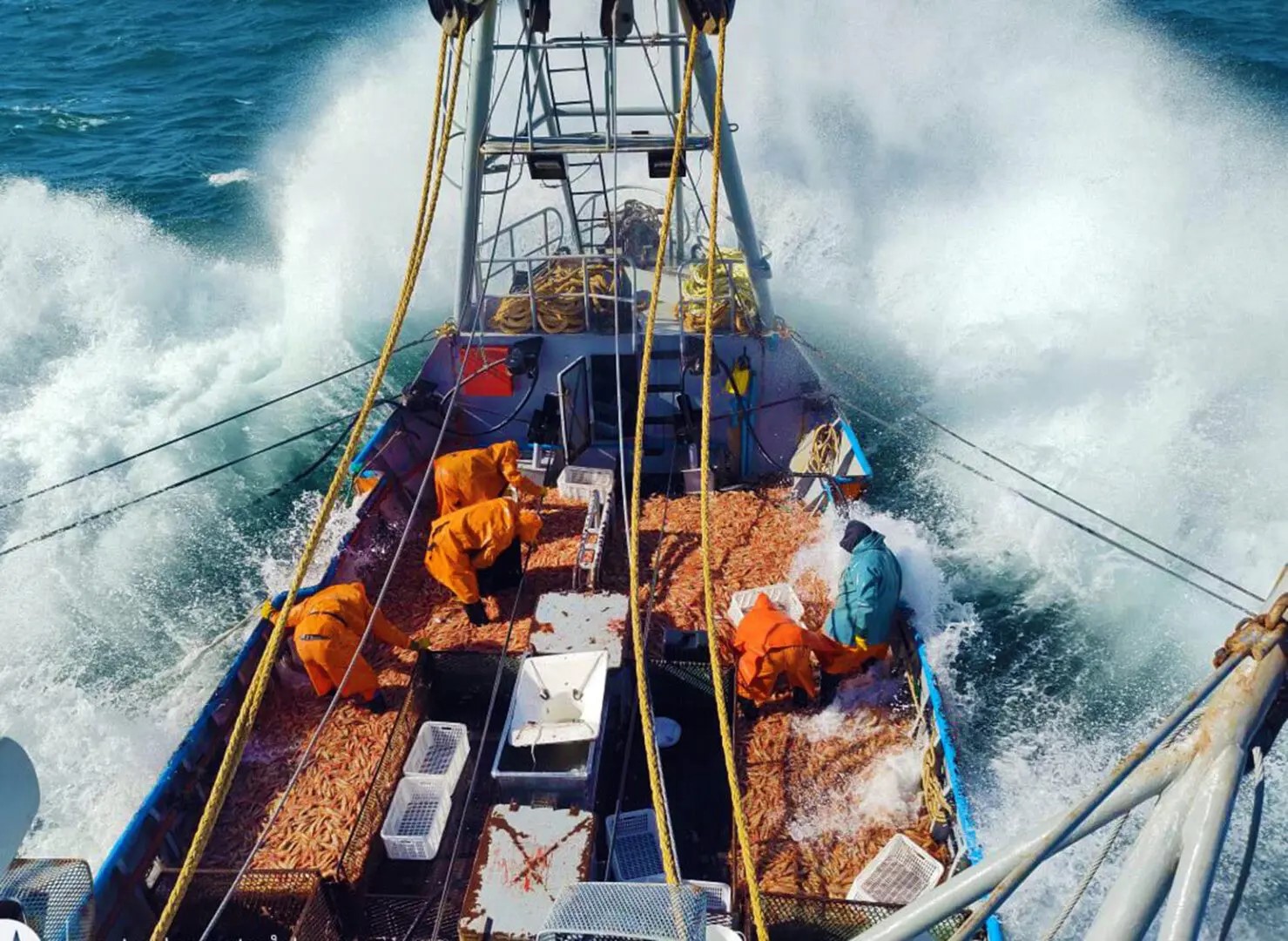 Preocupación en las cámaras pesqueras de Chubut: Advierten que sus observaciones al proyecto de Ficha Limpia no fueron incorporadas