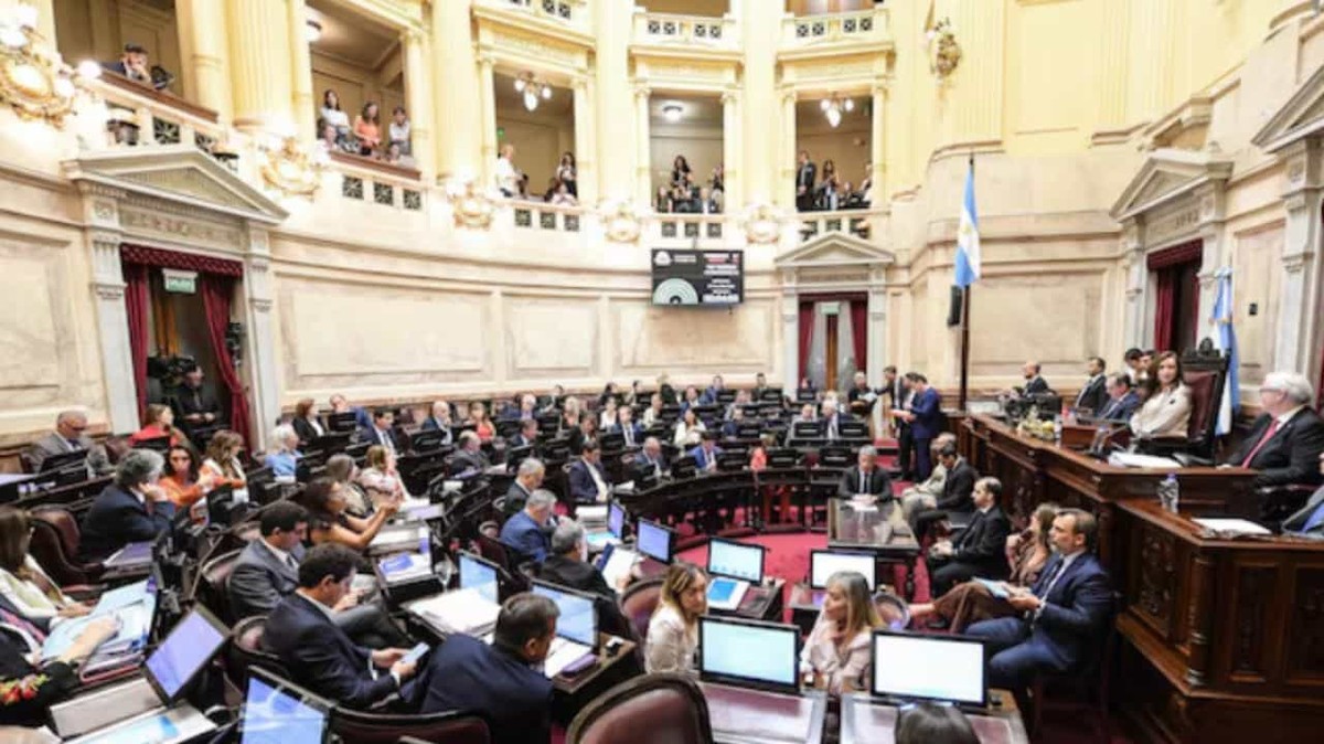 Senado debate reforma de Salud Mental: Flexibilizan internaciones y psiquiatras con un rol central