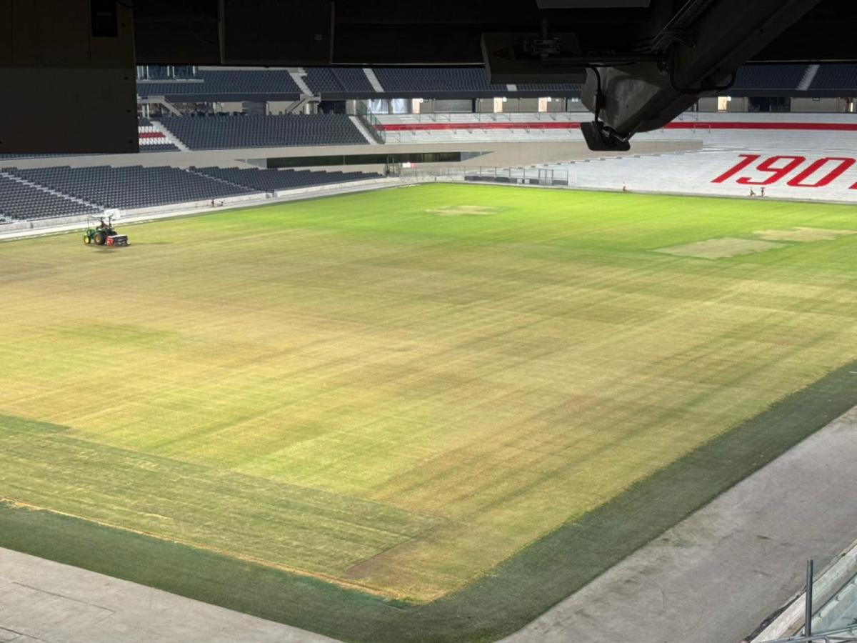 El campo de juego está en mal estado tras los recitales de AC/DC y River acelera los trabajos para que el Monumental esté en las mejores condiciones posibles