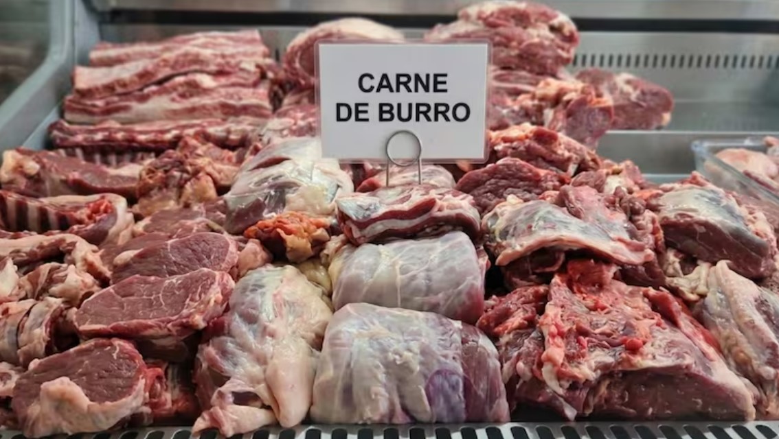 Carne de burro en Chubut: Se puede vender, pero no hay frigoríficos habilitados para el tránsito