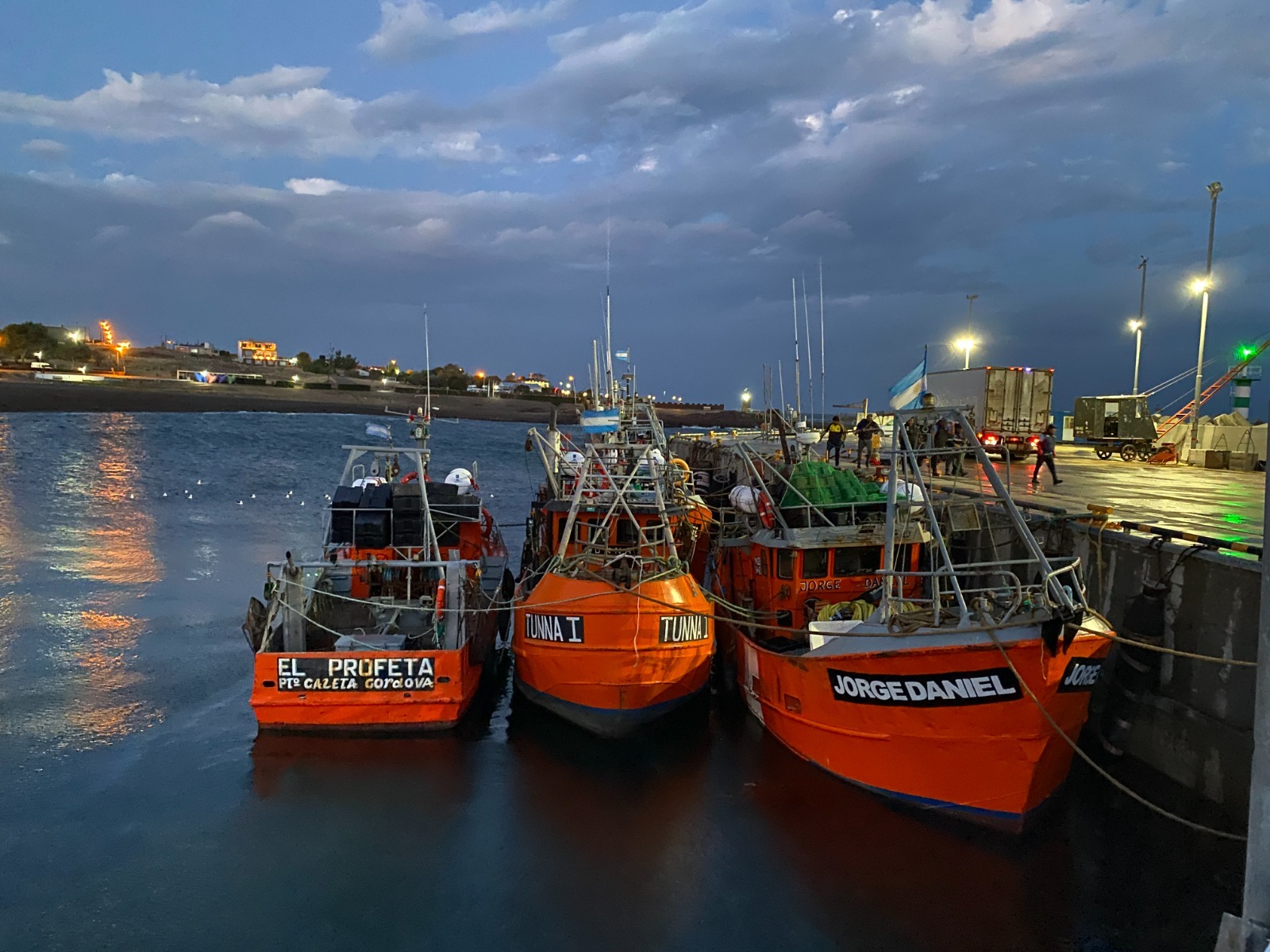El impacto de la actividad portuaria y la calidad del agua, en el centro del debate en Camarones