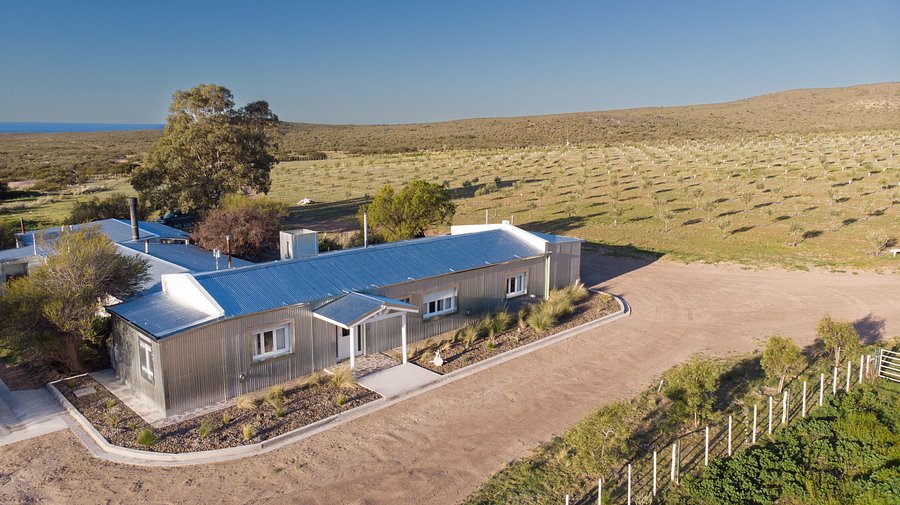 La Providencia, la estancia que produce aceite de oliva, recibe huéspedes y combina historia vasca, italiana con la inmensidad del mar