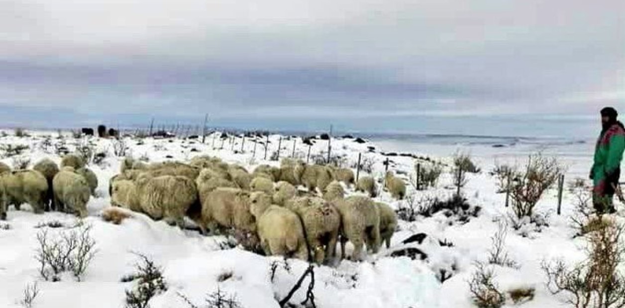 Nación declaró la emergencia agropecuaria en Chubut, Santa Cruz y varios departamentos de Mendoza