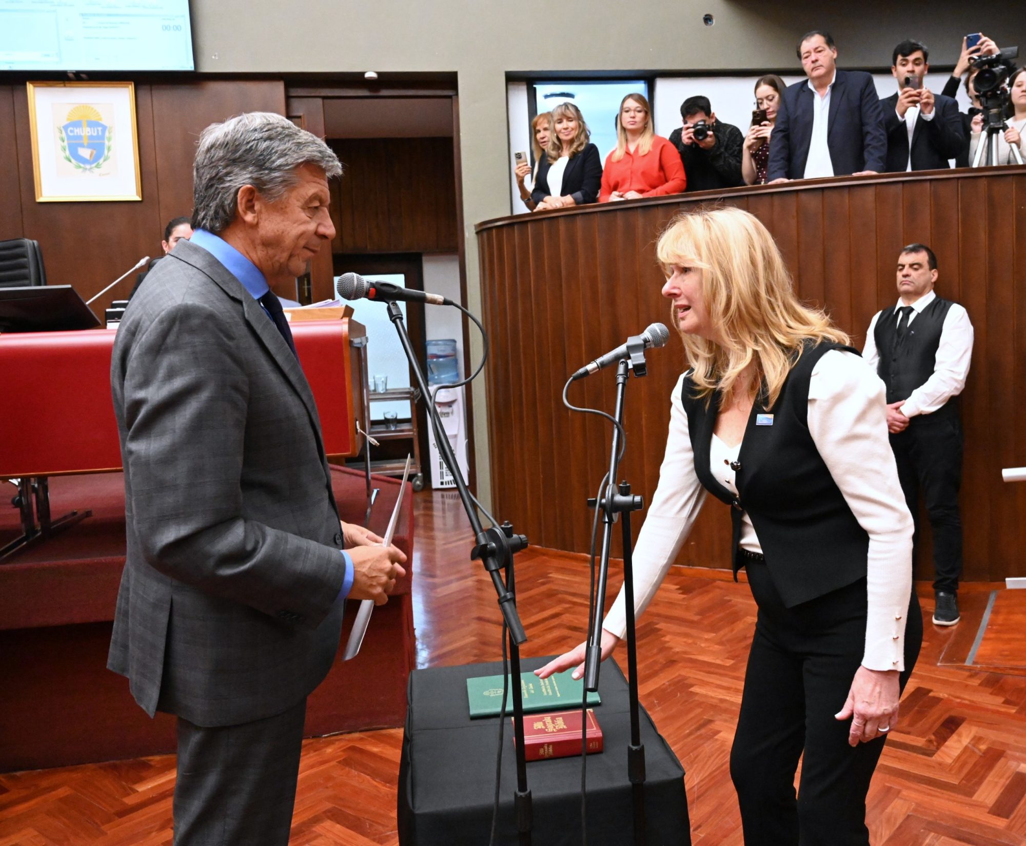 Giordano asumió como diputada en reemplazo de Caminoa