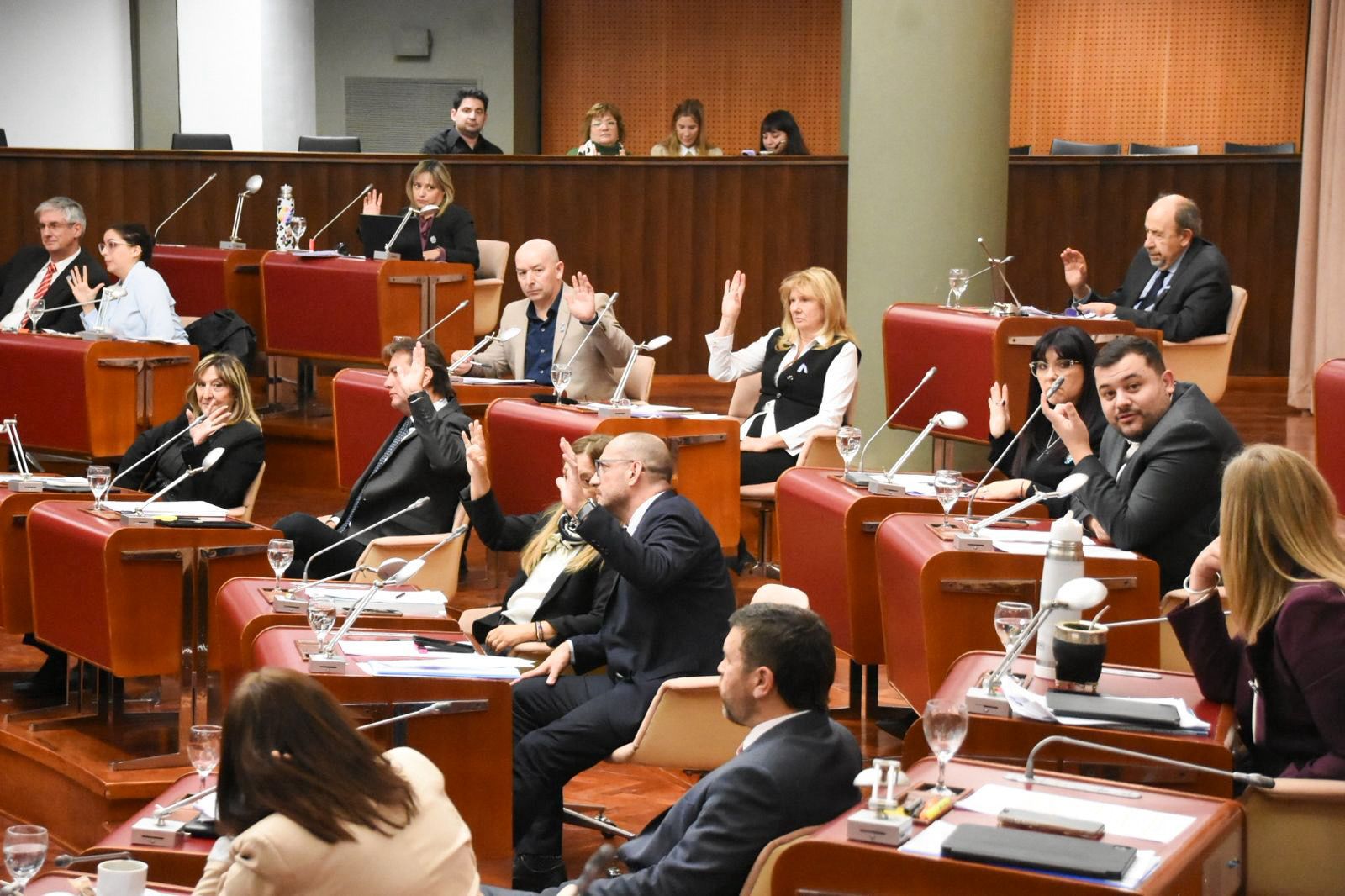 Legislatura aprobó la adhesión a la Ley Antimafias para fortalecer la lucha contra el crimen organizado en Chubut
