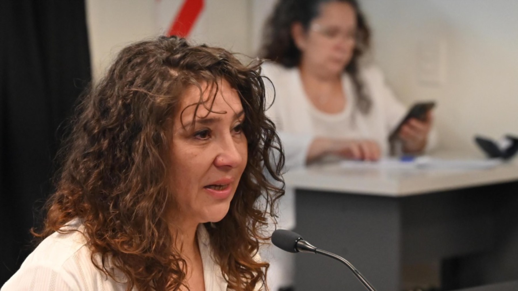 El Superior Tribunal de Justicia ratificó la condena a la exministra Torres Otarola por la causa “Ñoquis Calientes”