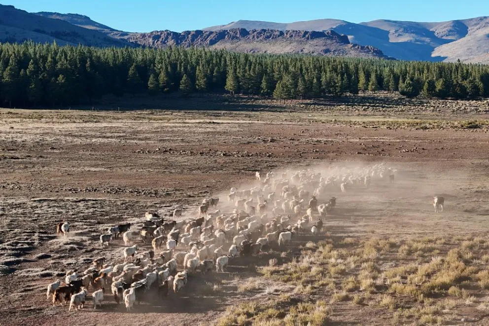 Neuquén: Con más inversión y apoyo técnico, la Provincia busca amortiguar el impacto de la sequía