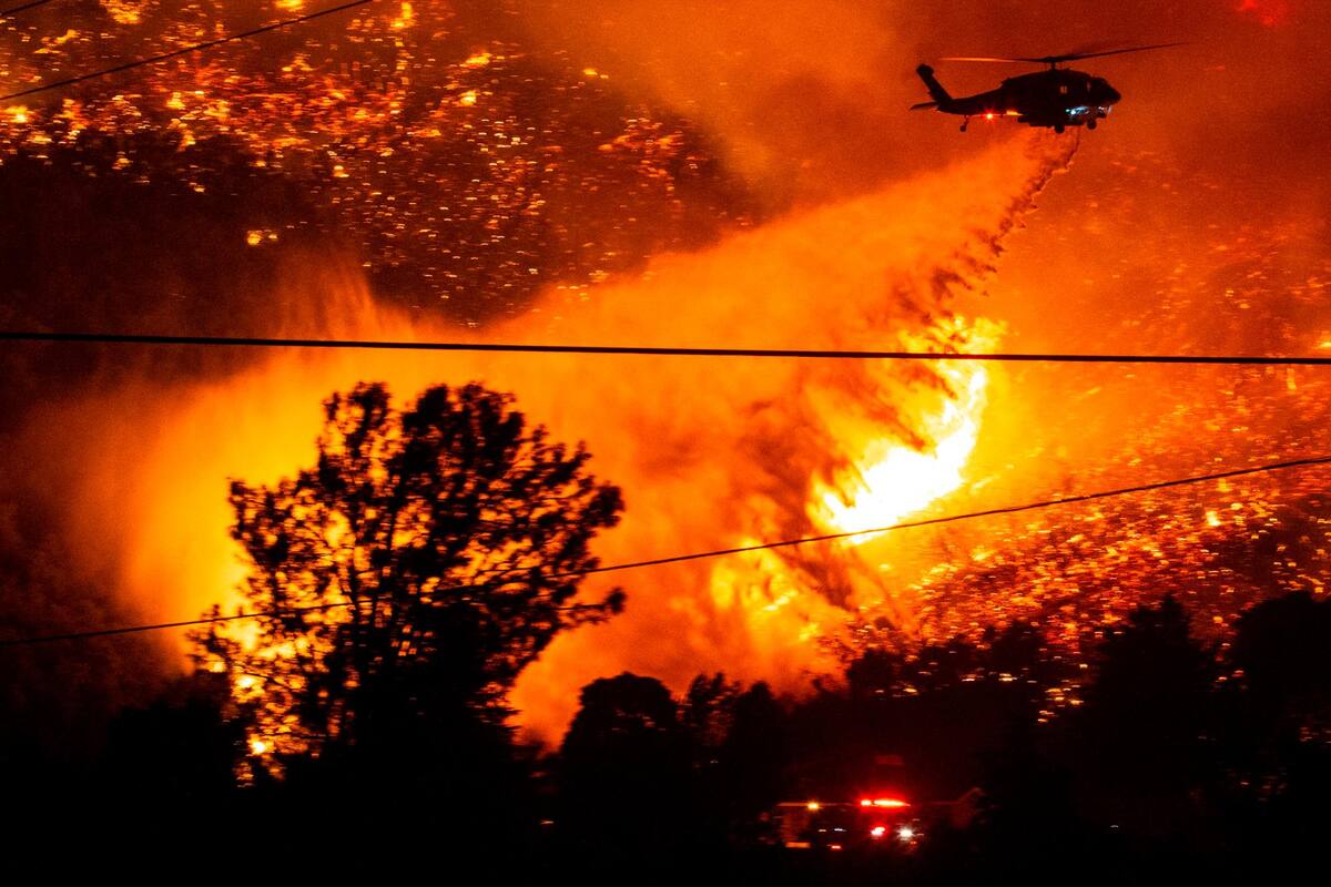 California: Un incendio forestal arrasó más de 800 hectáreas