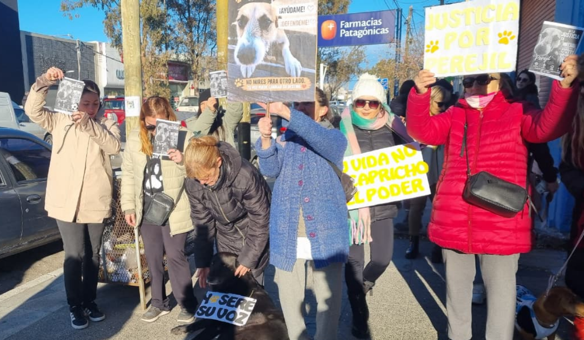 Desde Fiscalía aclararon que el perro que mató a la nena de 5 años en Magagna está “bajo resguardo judicial” y advirtieron que “no puede ser trasladado por ninguna persona”