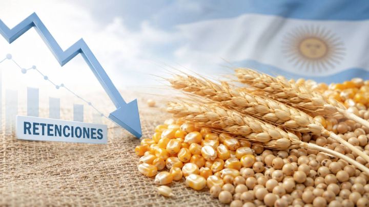 El Gobierno oficializó la baja de las retenciones para el agro y algunos productos ya empiezan a tener vigencia a partir de mañana