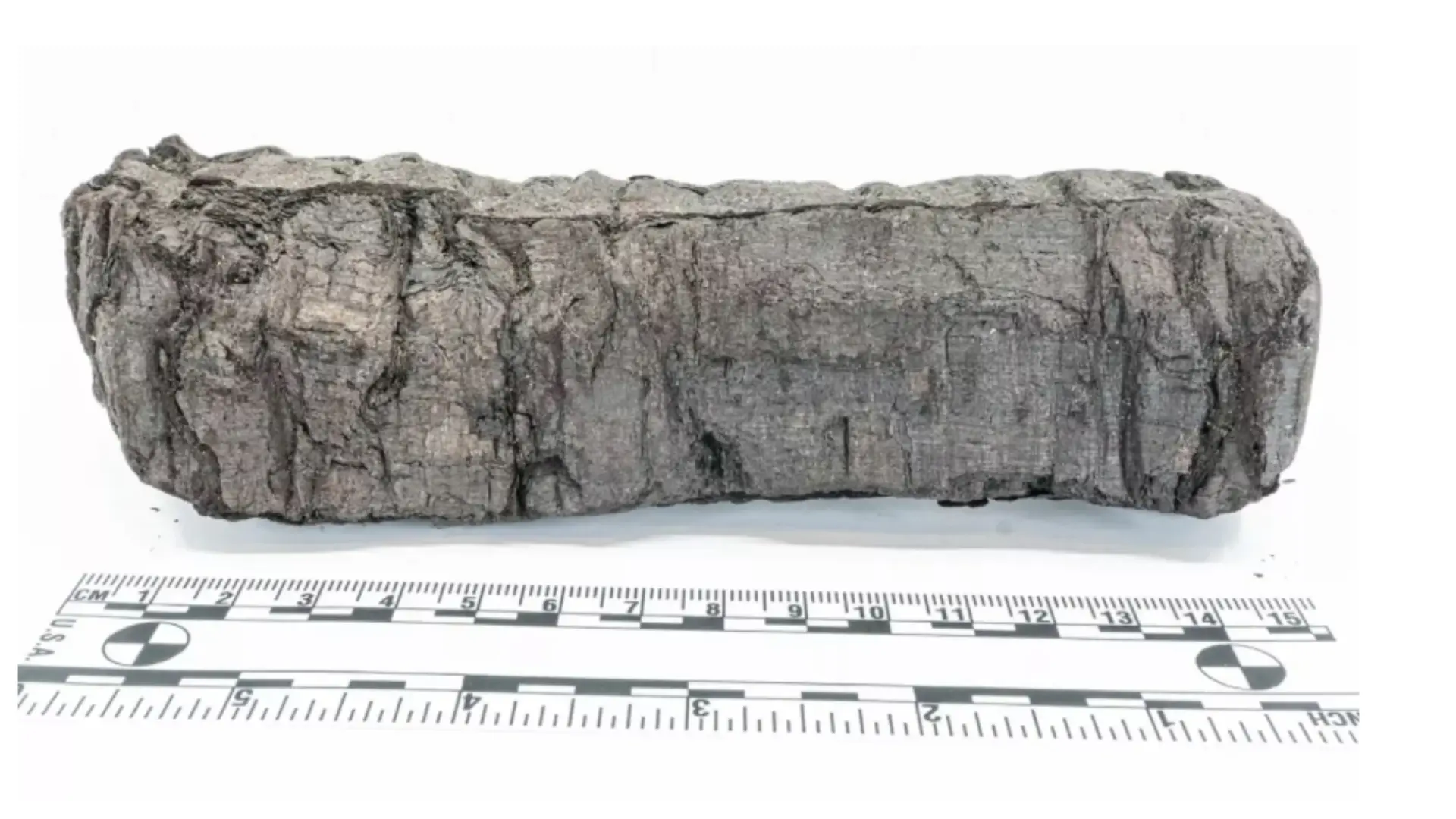 La inteligencia artificial descifró un papiro sepultado por el Vesubio hace 2.000 años