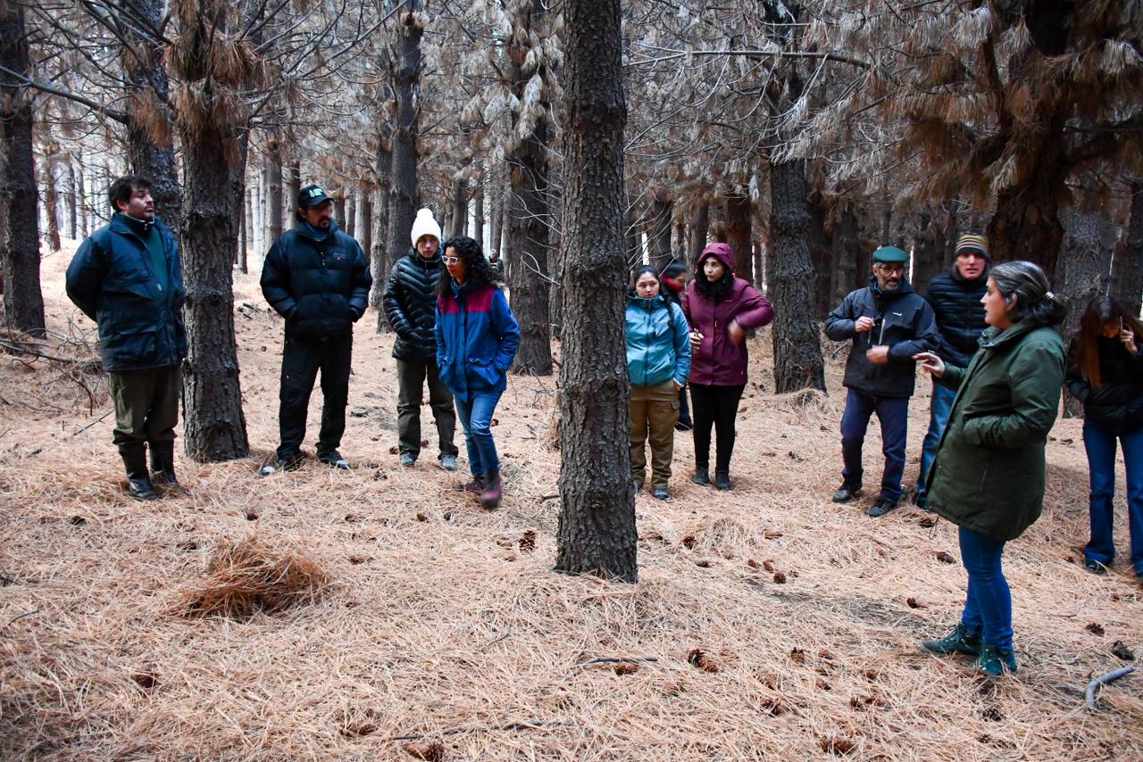 La Municipalidad de Esquel abrió la convocatoria para el programa piloto de Manejo de Bosques Comunales