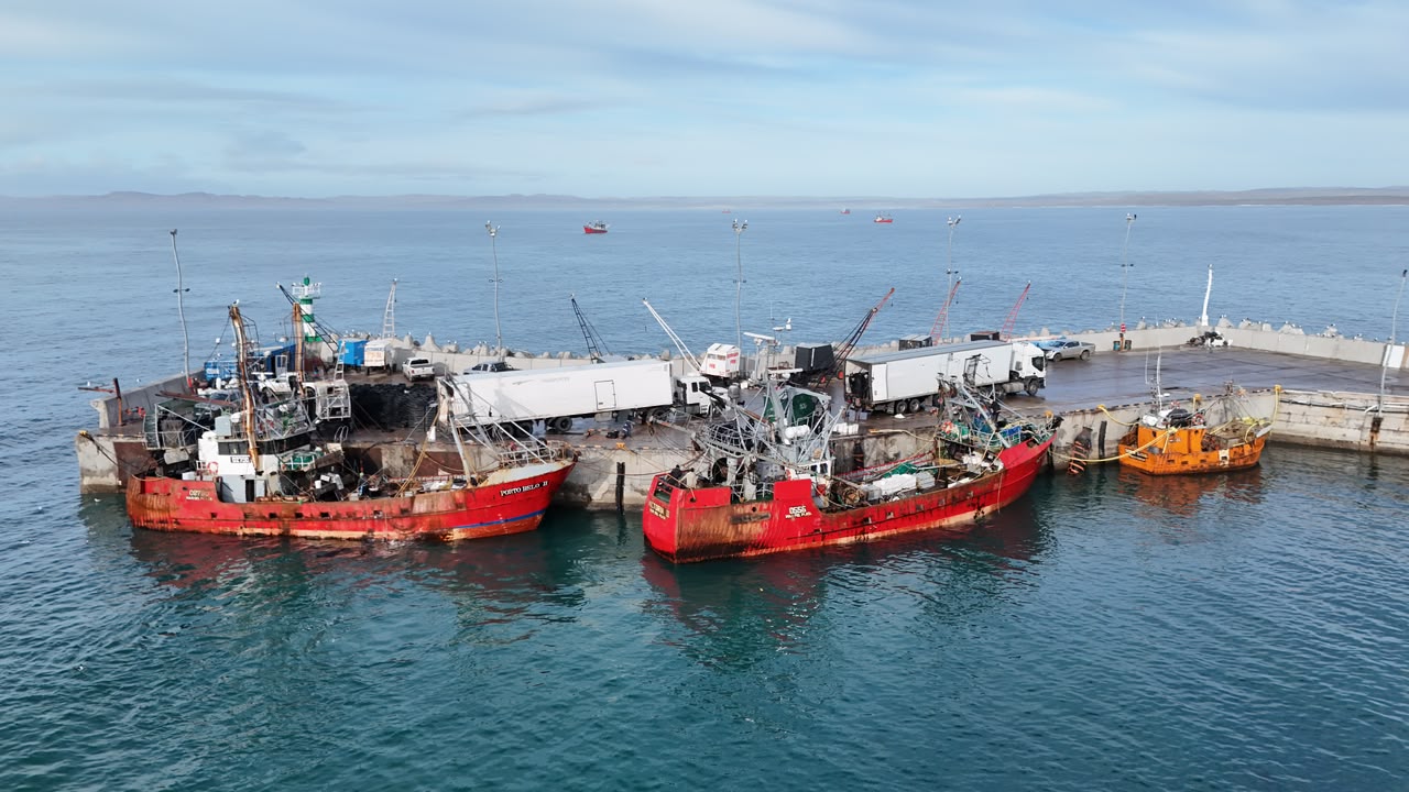 Loyola destacó que en un solo día, se descargaron 17.500 cajones de langostinos en el puerto de Camarones