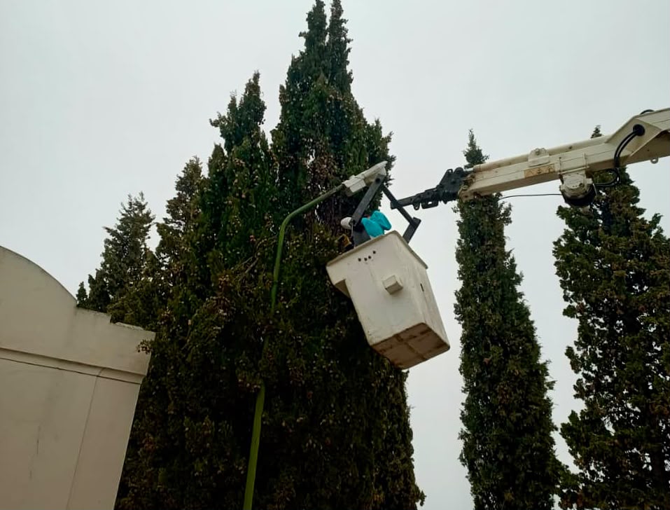 El Municipio de Trelew renovó la iluminación y realizó tareas de poda en el Cementerio Municipal